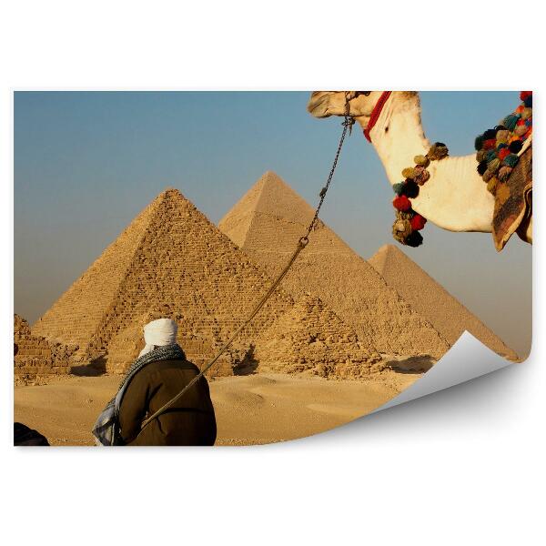 Fototapeta na stenu Pyramídy V Gíze Ťavy Muži