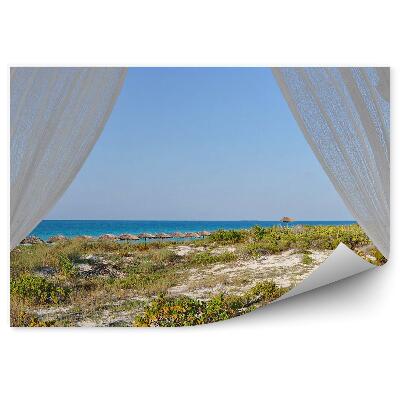 Fototapeta Morské palmy rastliny okenné závesy