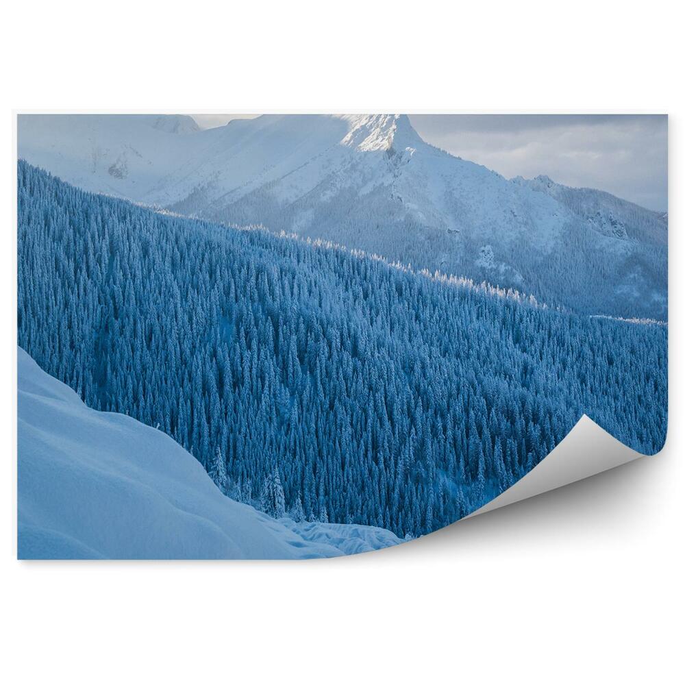 Fototapeta Giewont tatry ihličnaté stromy sneh obloha mraky