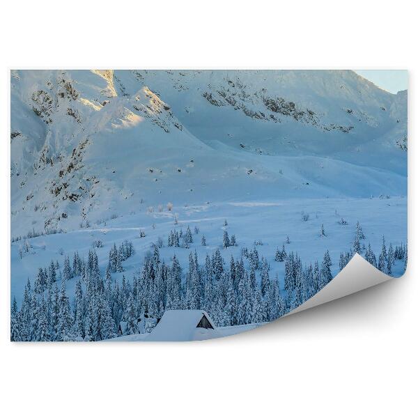 Fototapeta Hala gąsienicowa chaty tatry zima sneh ihličnaté stromy