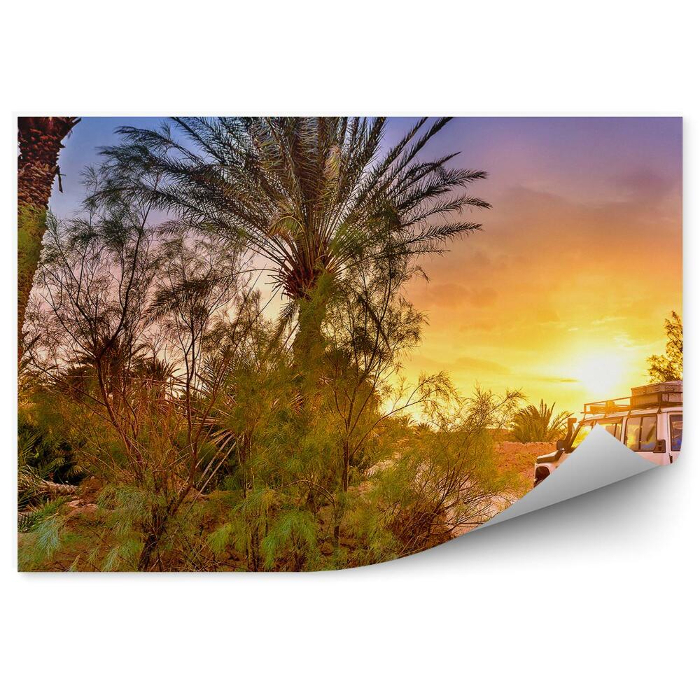 Fototapeta na stenu Džíp Palmy Cesta Západ Slnka
