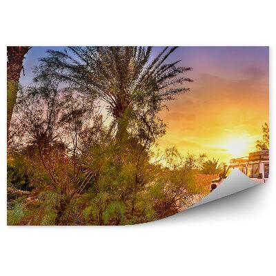 Fototapeta na stenu Džíp Palmy Cesta Západ Slnka