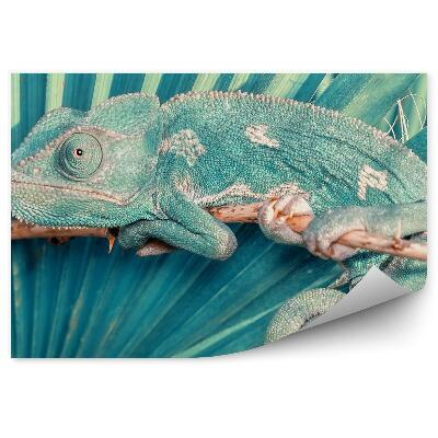 Fototapeta Chameleón na pozadí palmového listu