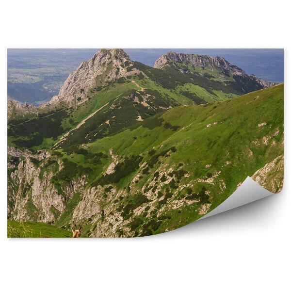 Fototapeta na stenu Giewont tráva hory tráva obloha tatra mraky