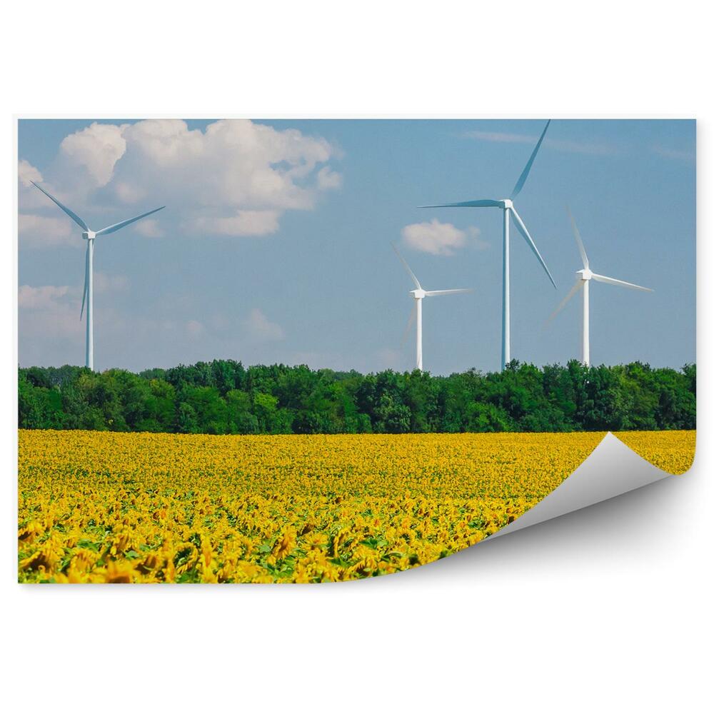 Fototapeta na stenu Pole Slnečníc Veterné Mlyny Stromy Obloha Mraky Kvety