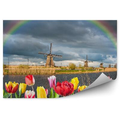 Fototapeta Tulipány Veterné Mlyny Oceán Tráva Obloha Mraky Dúha