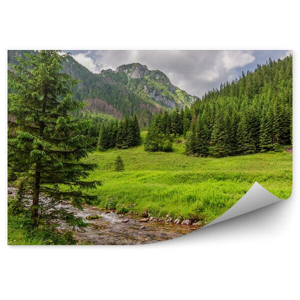 Fototapeta na stenu Potok zelené údolia Tatry