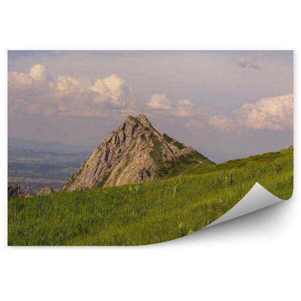 Fototapeta na stenu Giewont tráva obloha mraky tatry domy pohľad