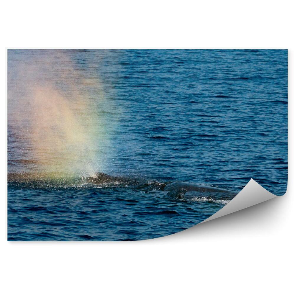 Fototapeta na stenu Dúhový Dym Stredozemné More