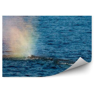 Fototapeta na stenu Dúhový Dym Stredozemné More