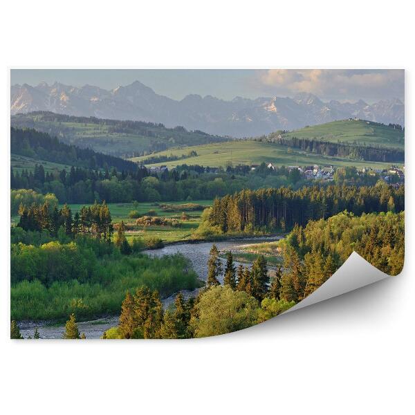 Fototapeta na stenu Biela rieka roklina stromy domy hory tatry