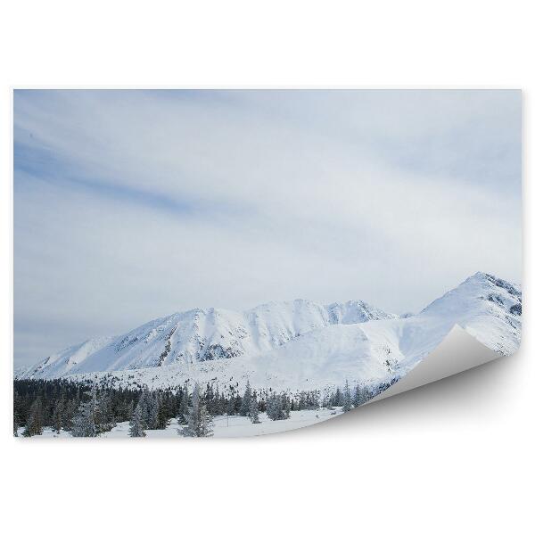 Fototapeta na stenu Hory sneh Zakopané zima obloha mraky ihličnaté stromy Tatry