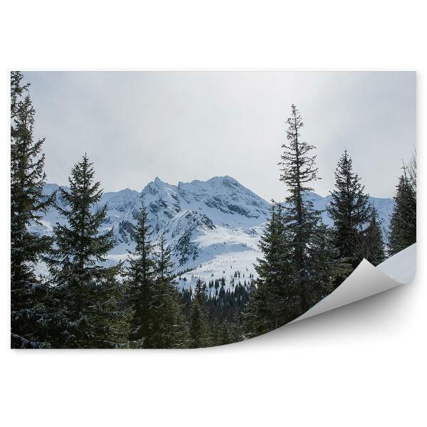 Fototapeta Hory sneh Zakopané zima obloha mraky ihličnaté stromy Tatry