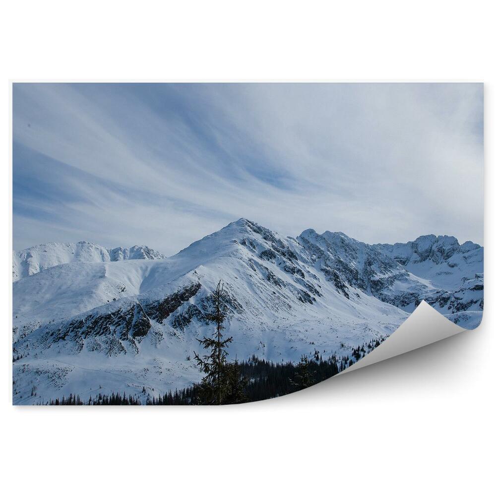 Fototapeta na stenu Zakopané hory sneh zimná obloha mraky ihličnaté stromy Tatry