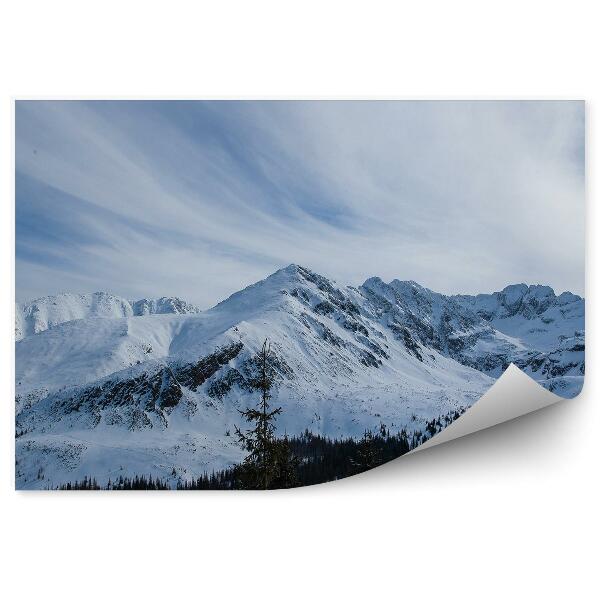 Fototapeta na stenu Zakopané hory sneh zimná obloha mraky ihličnaté stromy Tatry