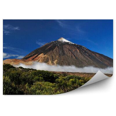 Fototapeta na stenu Sopka teide stromy hmla obloha mraky