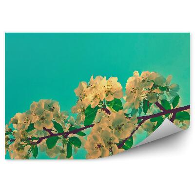 Fototapeta Jabloňový Kvet Vetva Zelené Pozadie