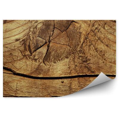 Fototapeta na stenu Priblíženie drevených uzlov