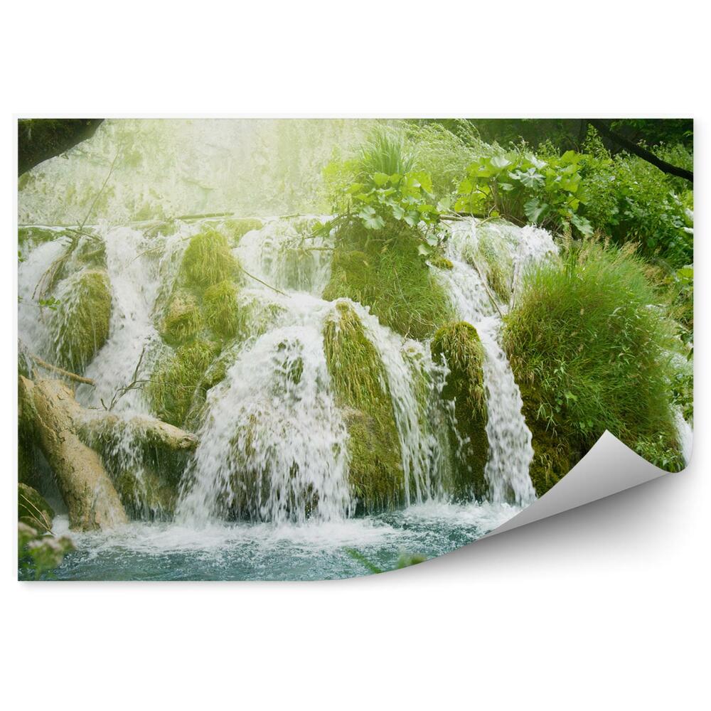 Fototapeta na stenu Tráva vodopád vegetácia stromy