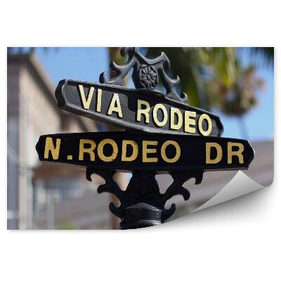 Fototapeta Kalifornia Palmy Mesto Značka Ulice