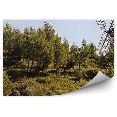 Fototapeta na stenu Veterný mlyn les stromy obloha Provence Francúzsko
