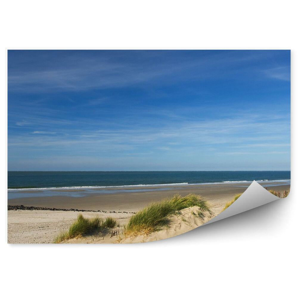 Fototapeta Oceán Pláž Tráva Obloha