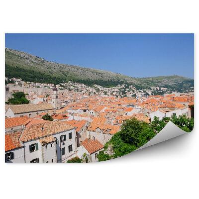 Fototapeta na stenu Príroda Zelené Domy Architektúra