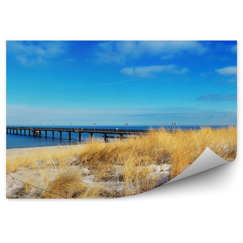 Fototapeta na stenu Most More Pláž Tráva Obloha Mraky