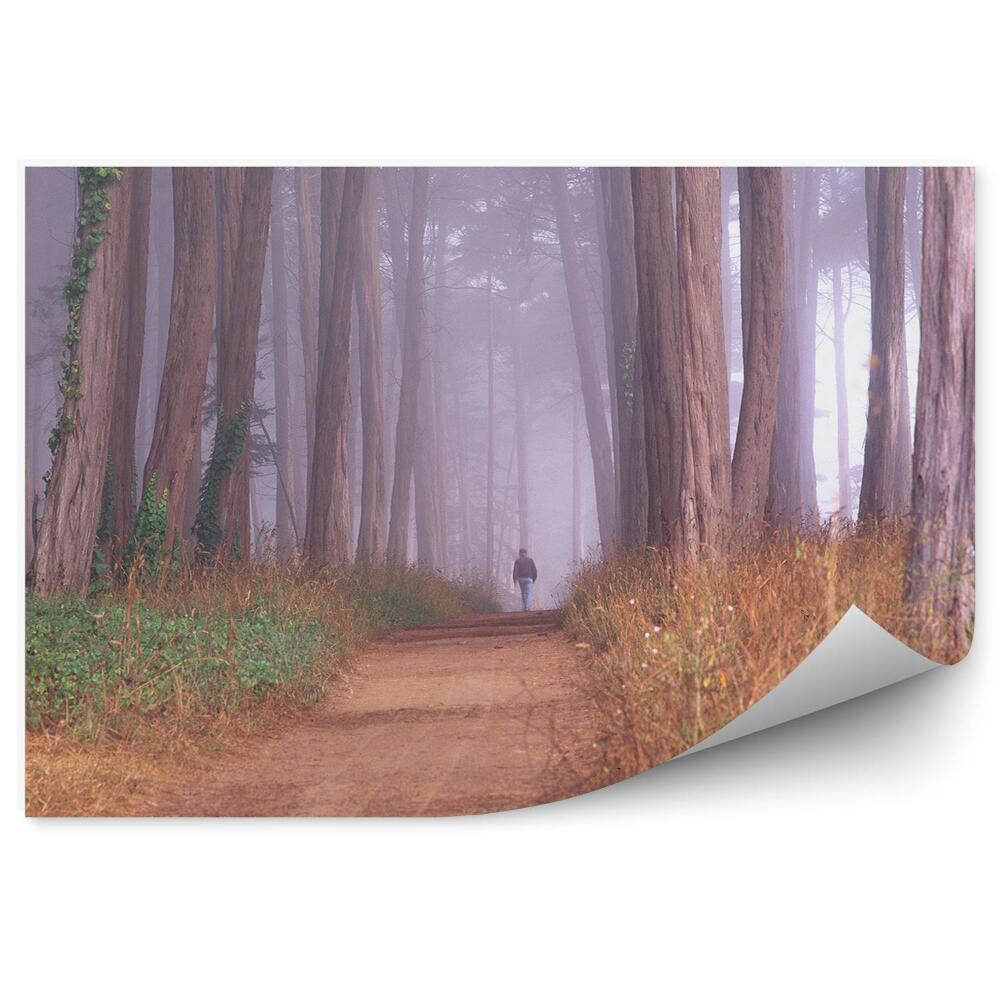 Fototapeta Lesný človek cesta stromy