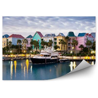 Fototapeta na stenu Farebné domy palmy príroda more