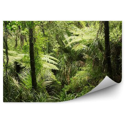Fototapeta Dažďový prales