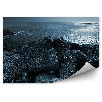 Fototapeta na stenu Mesiac Skaly More Vtáky Obloha Mraky Hviezdy