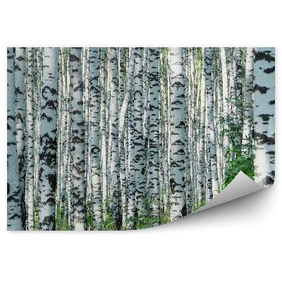 Fototapeta na stenu Brezová lesná tráva