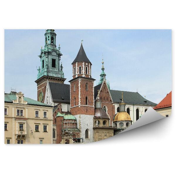 Fototapeta Kráľovský hrad stromy tráva skaly Krakovské nebo