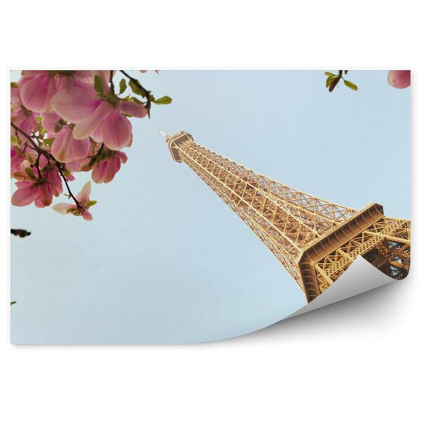 Fototapeta na stenu Drevo v cvetju magnolije Pariz eifflov stolp