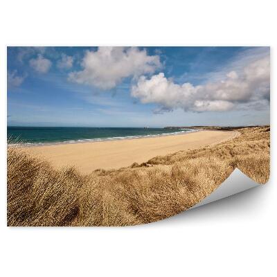 Fototapeta Cornwall Pláž Oceán Obloha Mraky