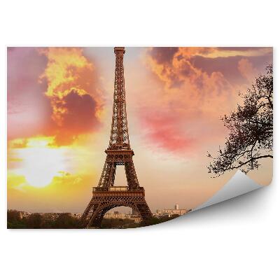 Fototapeta Pariški eifflov stolp oblak park