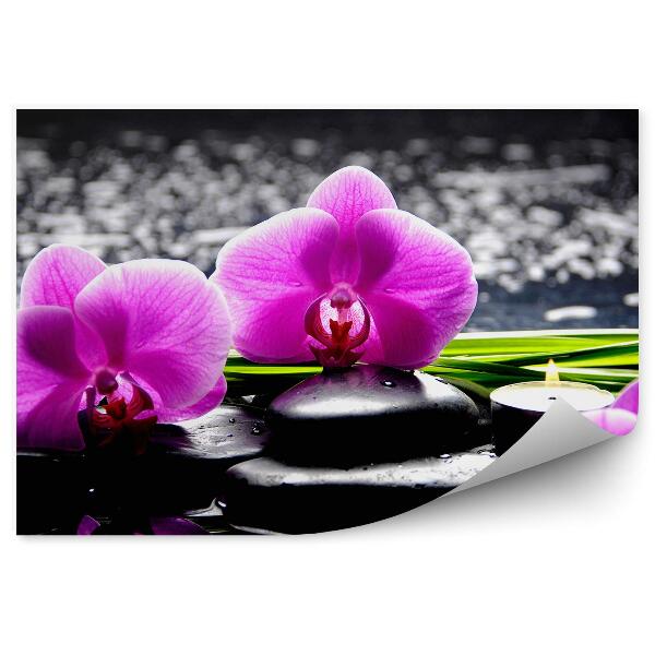Fototapeta Ružové Kvety Orchidey Kamene Sviečky Voda