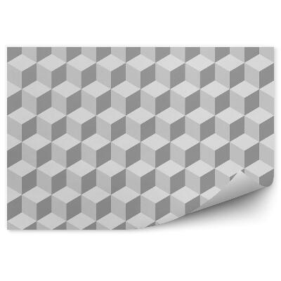 Fototapeta na stenu 3D izometrický vzor kocky