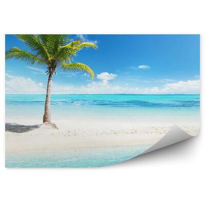 Fototapeta na stenu Osamelá palma na pláži s modrou vodou