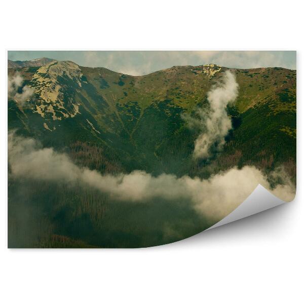 Fototapeta na stenu Hory zelená obloha mraky tatra