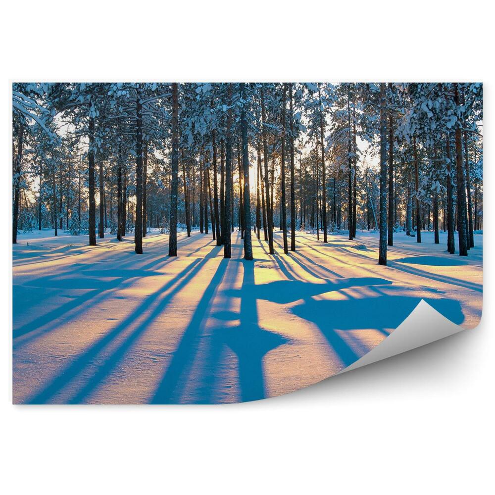 Fototapeta na stenu Zimný les východ slnka