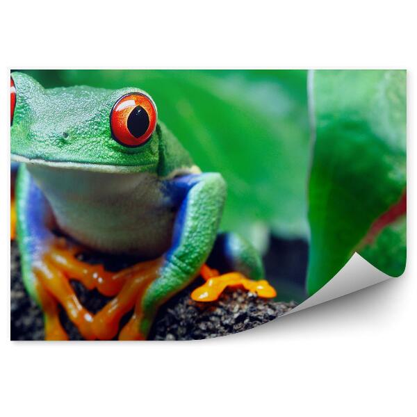 Fototapeta Šípka červenooká na vetvičke
