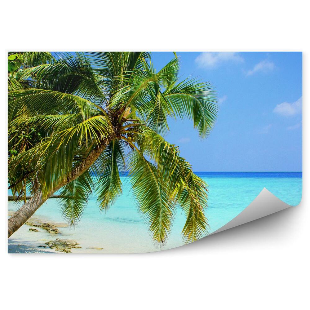 Fototapeta na stenu Maldivy Palmy Príroda Modrá Voda Obloha