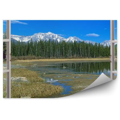 Fototapeta Vianočný stromček les otvorené okno pohľad na hory