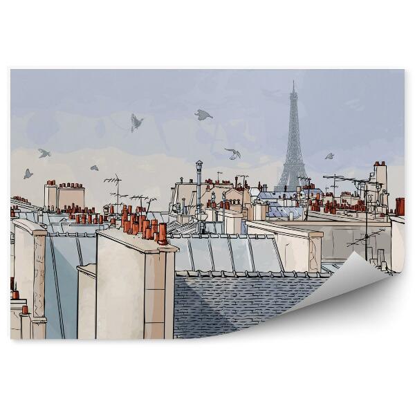 Fototapeta Paríž francia - strechy Paríž francia
