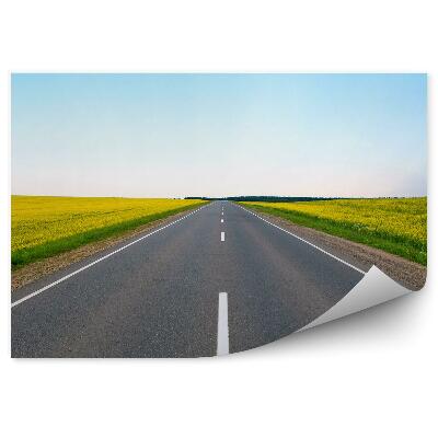 Fototapeta na stenu Polje cvetočih rumenih cvetov cesta