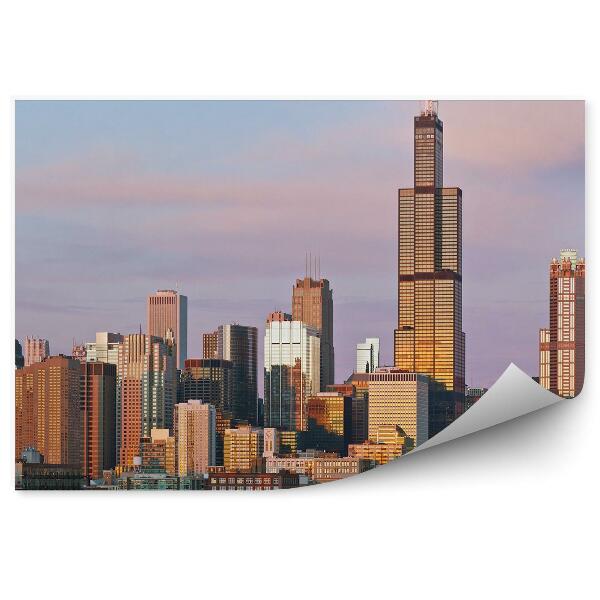 Fototapeta Chicago mrakodrapy stromy mraky