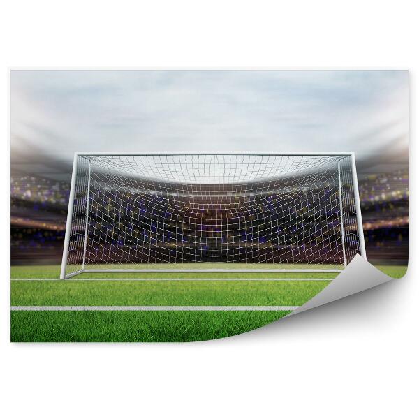 Fototapeta na stenu Goal turf navijaška tekma