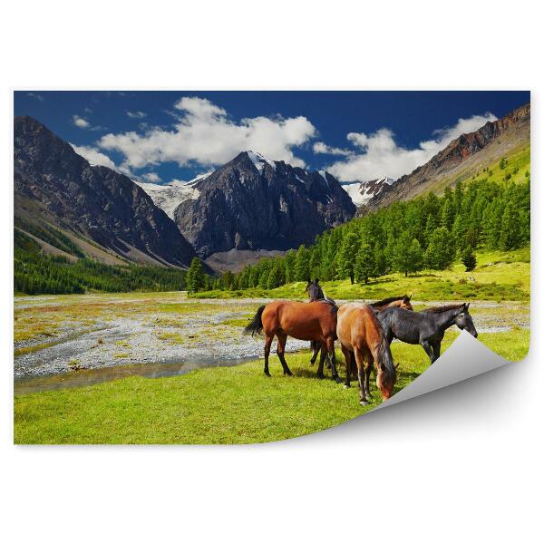 Fototapeta na stenu Kone a horská krajina